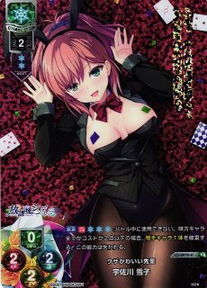 Ver.HOOKSOFT 1.0買取ならカードラボ！