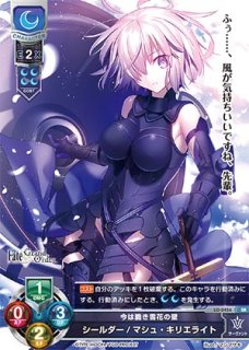 Ver.Fate/Grand Order 2.0買取ならカードラボ！