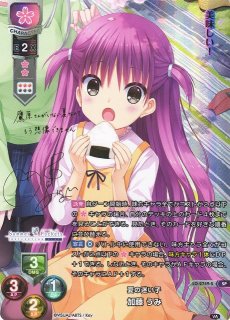 Lycee 花属性【SP】 - C-labo Online買取