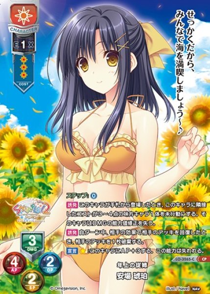 画像1: 【LO】年上の従姉 安場 琥珀【CP】LO-3265-C (1)