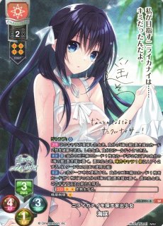 lycee 　Navel　どうしようもないパル子 ラッキーカード L どうしようもないパル子 販売 | Navel 2.0 | Lycee Overture通販なら