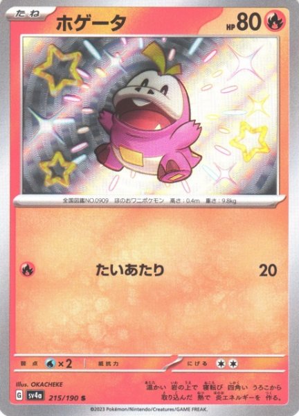 画像1: 【ポケカ】ホゲータ【S】SV4A 215/190 (1)