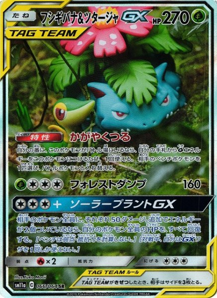 画像1: 【ポケカ】フシギバナ＆ツタージャGX(SA)【SR】SM11A-066 (1)
