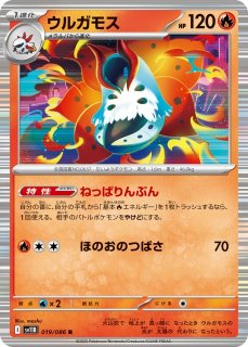 通販ならカードラボ！