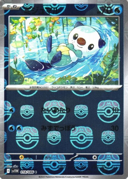 画像1: 【ポケカ】ミジュマル【ミラー/マスターボール柄】SV11W-018 (1)