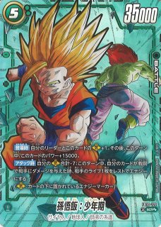 FB10]CROSS FORCE - C-labo Online買取