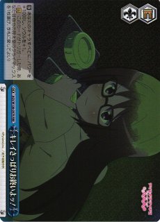 憧れの人と一緒に sp サイン ヴァイスシュヴァルツ アリスギアアイギス