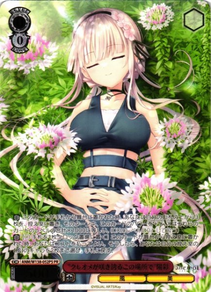 画像1: 【WS】“クレオメが咲き誇るこの場所で”陽彩(箔押し)【PR】ANM/W138-052PS (1)