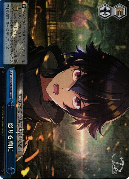 画像1: 【WS】怒りを胸に【RRR】DCT/S86-098 (1)