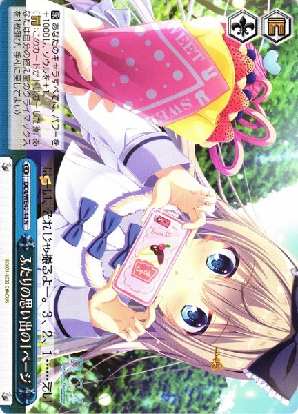 画像1: 【WS】ふたりの思い出の１ページ【N】DC4/WE40-44 (1)
