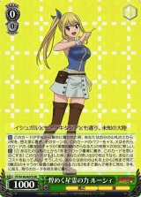 FAIRY TAIL買取ならカードラボ！