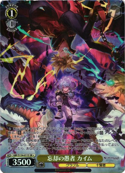 画像1: 【WS】忘却の愚者 カイム【SR】GBF/S134-011S (1)