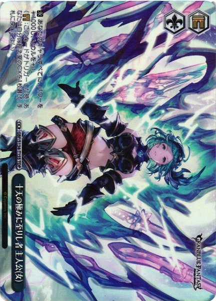 画像1: 【WS】十天の極みに至りし者 主人公(女)【TDP】GBF/S134-T15S (1)