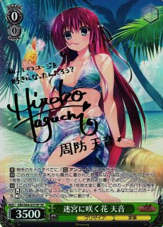 買取相場】-ヴァイス-(サイン)迷宮に咲く花 天音(SP)(GRI-S84