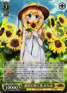 迷宮に咲く花由美子 SP グリザイア3枚