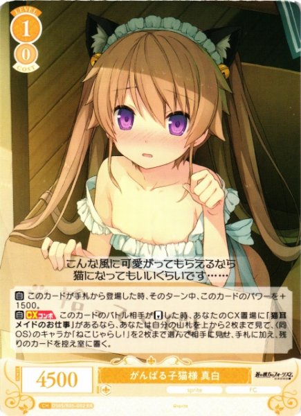 画像1: 【WSR】がんばる子猫様 真白【RR】OS05/R05-002 (1)