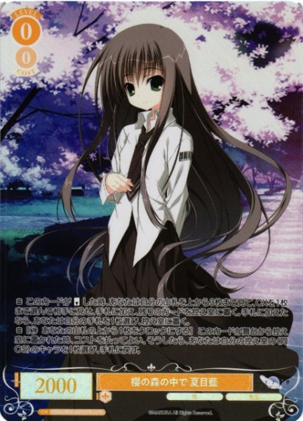 画像1: 【WSR】櫻の森の中で 夏目藍【OFR】OS06/R06-001OFR (1)