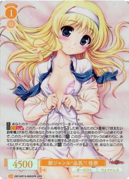 画像1: 【WSR】新ジャンル“品乳”！ 佳奈【OFR】OS13/R13-002OFR (1)