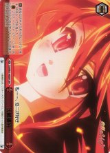 全商品 - C-labo Online買取 (Page 202)