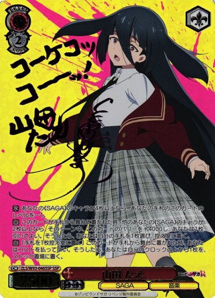 画像1: 【WS】山田 たえ(サイン+箔押し)【SSP】ZLS/W93-046 (1)