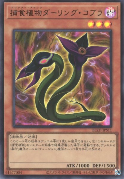 画像1: 【遊戯】捕食植物ダーリング・コブラ【ウルトラ/効果】BLZD-JPS11 (1)