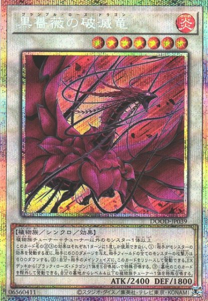 画像1: 【遊戯】黒薔薇の破滅竜【プリズマティックシークレット/☆7】DOOD-JP039 (1)