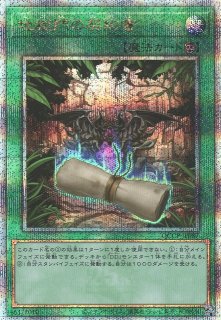 遊戯】遊戯王OCG デュエルモンスターズ 「QUARTER CENTURY CHRONICLE