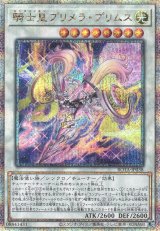 SH - C-labo Online買取 (Page 307)