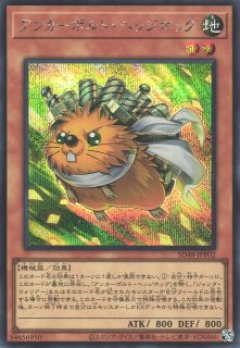 遊戯】遊戯王OCG デュエルモンスターズ 「STRUCTURE DECK パワー・オブ