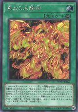 遊戯】真なる太陽神【シークレット/魔法】WPP3-JP052 - C-labo Online買取