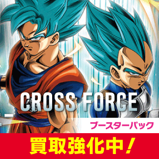 [FB10]CROSS FORCE