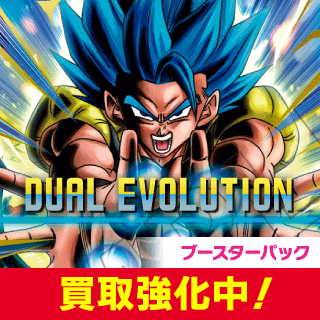 [FB09]DUAL EVOLUTION