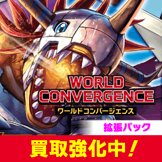  WORLD CONVERGENCE