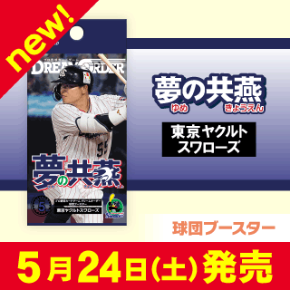 東京ヤクルトスワローズ「夢の共燕」