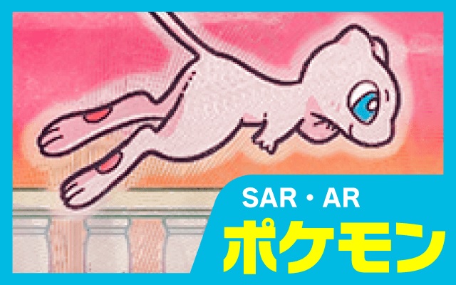 SAR・AR