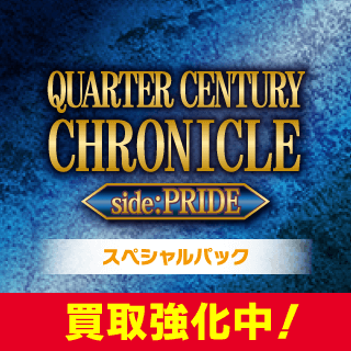 QUARTER CENTURY CHRONICLE side:PRIDE