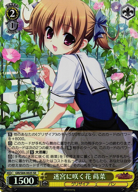 Amazon.co.jp: ヴァイス 迷宮に咲く花 幸 sp グリザイアの果実 : ホビー